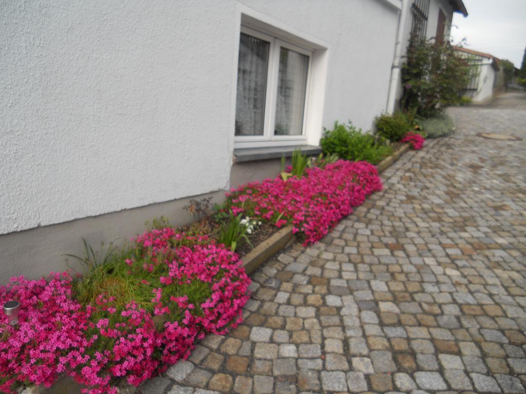 Ferienhaus Zittau Oberlausitz & Ferienwohnung Am Hamann Berg Eksteriør bilde
