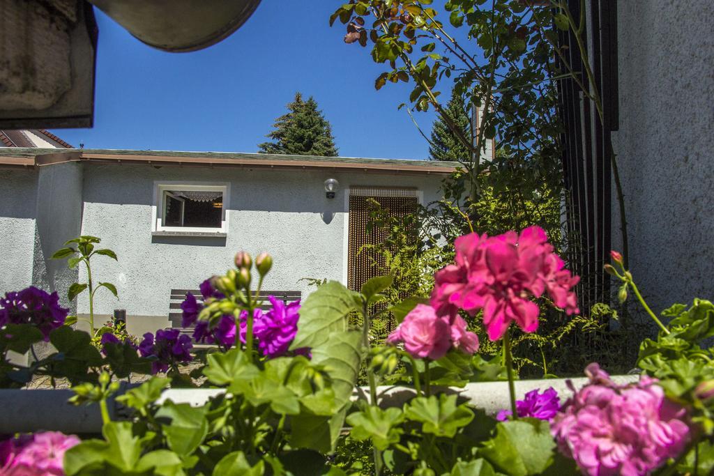 Ferienhaus Zittau Oberlausitz & Ferienwohnung Am Hamann Berg Eksteriør bilde